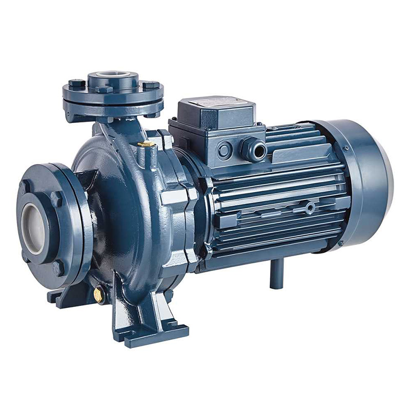Консольно-моноблочный фланцевый насос PURITY PSTC 65-200/220 (N)