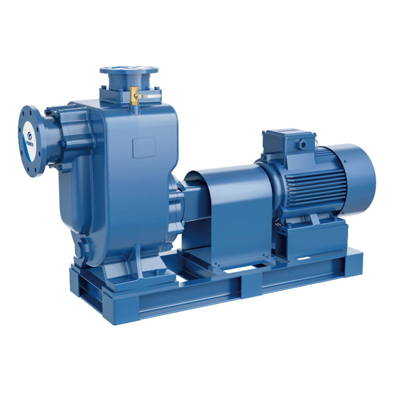 Самовсасывающий насос на раме PURITY PZWM 65-25-30/2